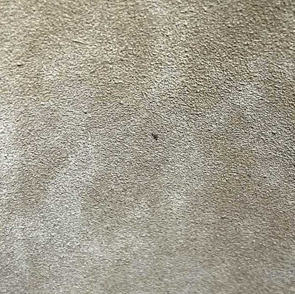 Loewe Shoulder Bag Gate Bucket Brown Paulas Ibiza Canvas Straw Tan Leather - Picture 5 of 10